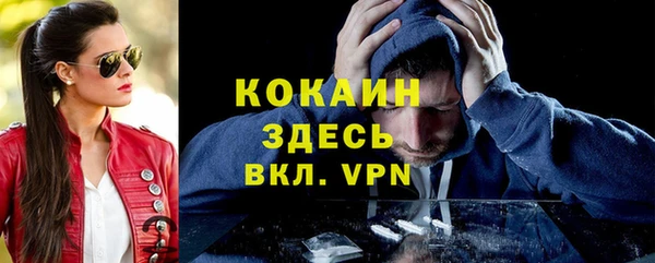 твердый Осташков