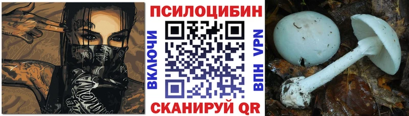 купить закладку  Россошь  Галлюциногенные грибы ЛСД 