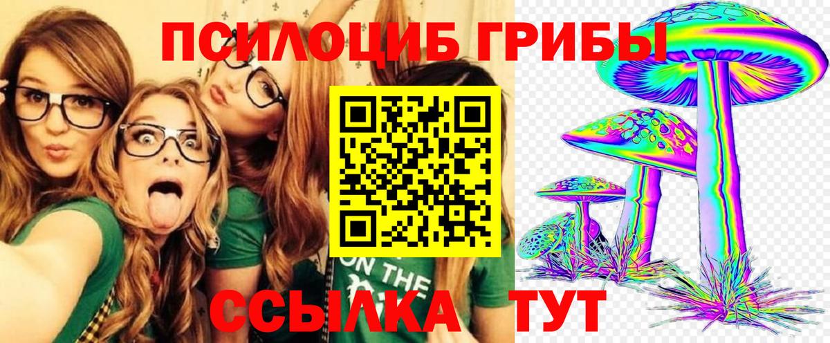 Псилоцибиновые грибы Psilocybe  Вход с VPN  Псилоцибиновые грибы MAGIC MUSHROOMS  Россошь 