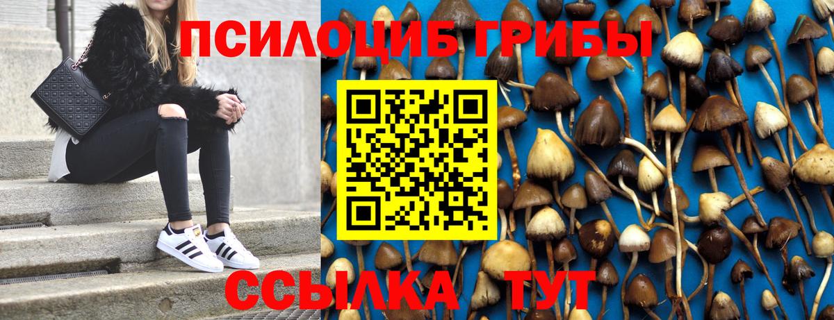 Галлюциногенные грибы MAGIC MUSHROOMS Россошь